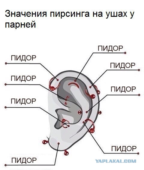 Теперь также, но на поле! (фоторепортаж)