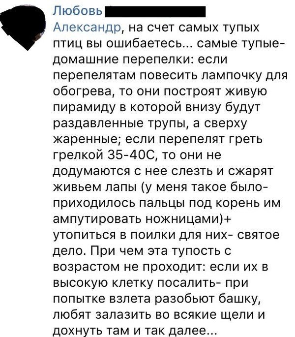 Картинок из интернетов немножко