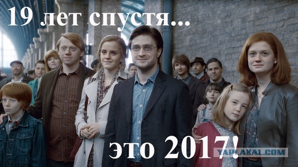 Подборка интересных и веселых картинок