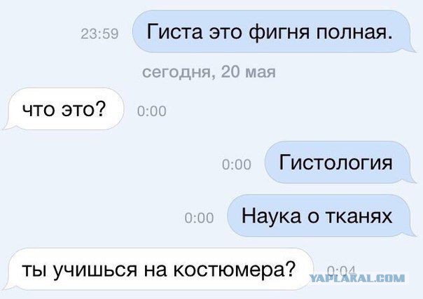 Веселые картинки и скриншоты