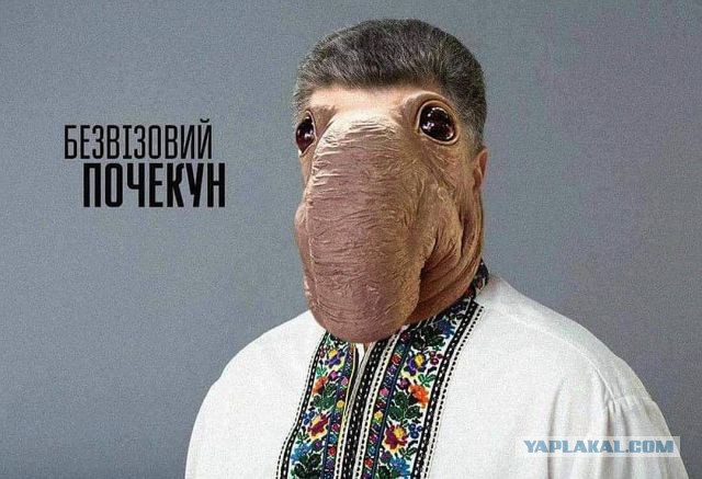 «В других странах такого фурора не было»: создательница Ждуна рассказала о его популярности в России