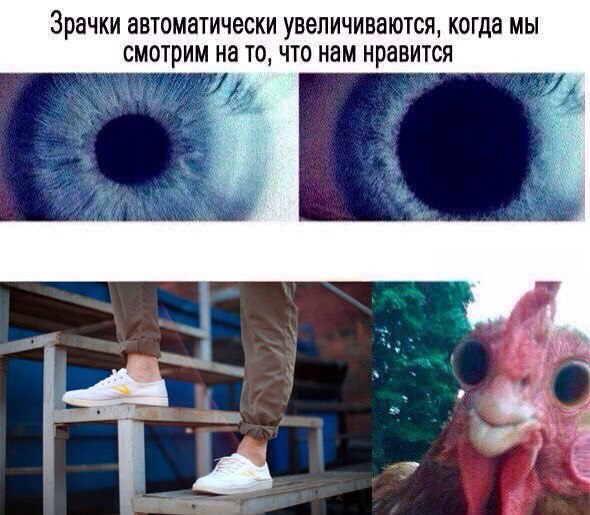 Чёрный и абсурдный юмор к понедельнику