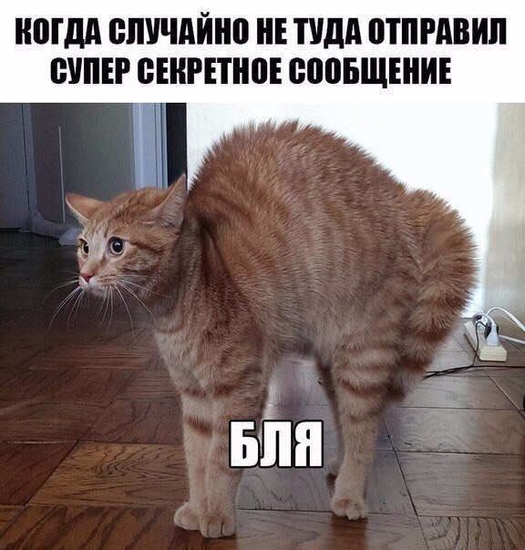 Точка бифуркации пройдена...