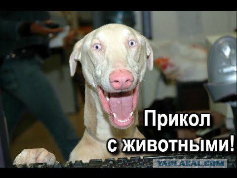 "Короче, люди с 14-го этажа переезжают"