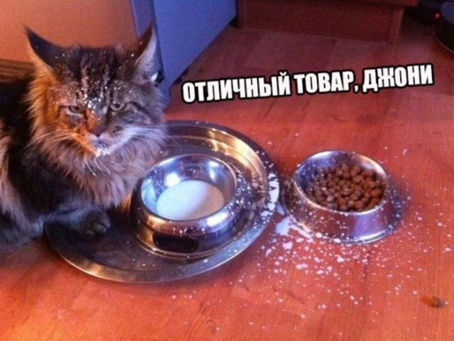 Подборка интересных и веселых картинок