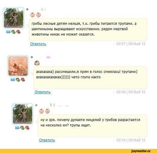 Ученые: грибы это высокоразвитая внеземная цивилизация