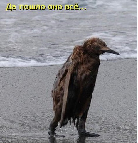 Итоги проверки пользователей
