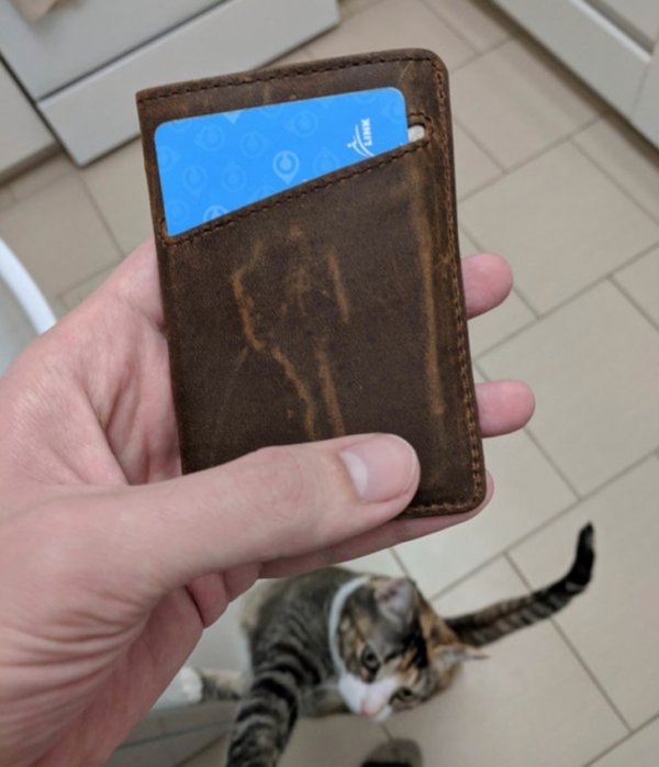 I have my wallet. I have my wallet
