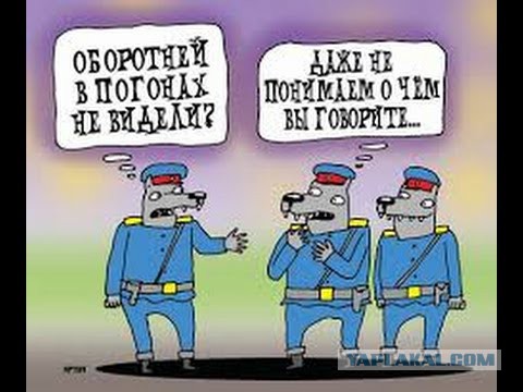 "Лучший следователь" МВД задержана за взятку в 2,5 миллиона
