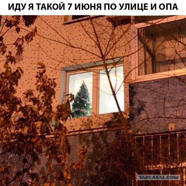 Немного картинок в этот субботний вечр