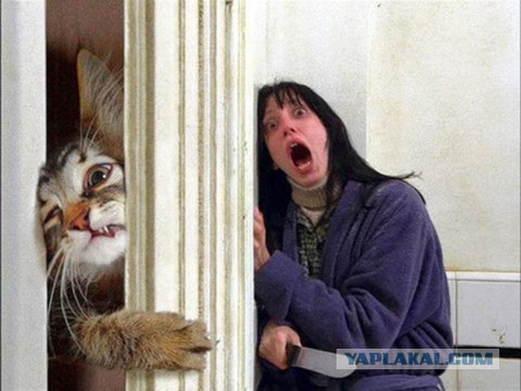 В чем вина женщины, если ей изменяет муж