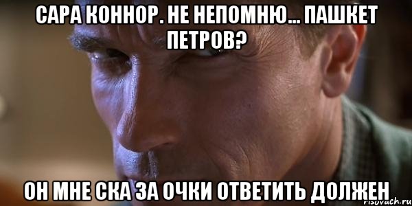 Пашкет, демотиваторы и мемы