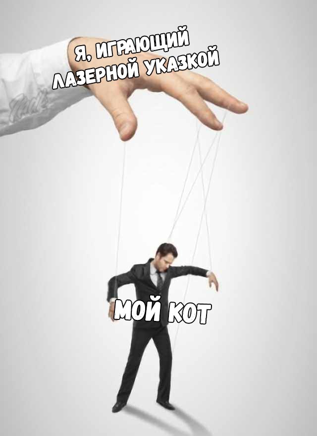 Немного картинок для настроения