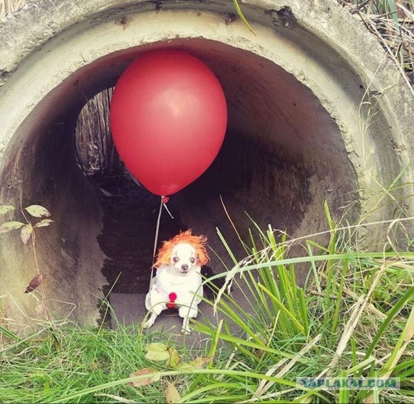 Чёрная доза