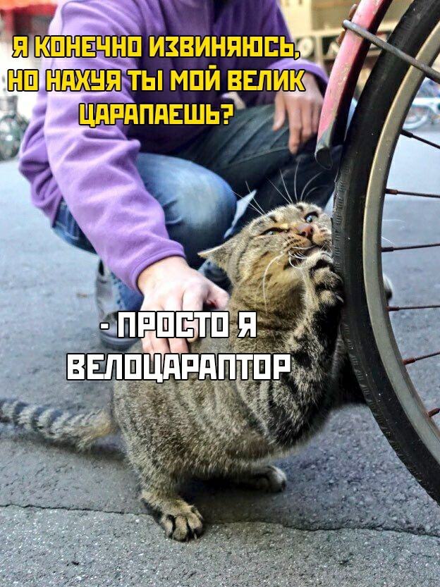 Немного картинок для настроения