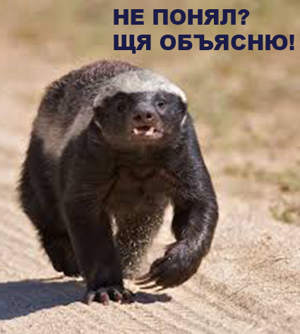 Медоед, питон и шакалы