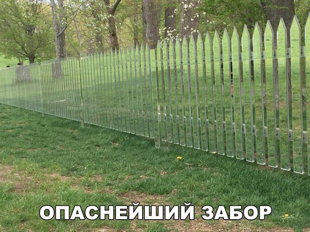 Чуток картинок. 02.02.20