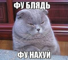 Какая "логика" у женщин, считающих, что мужчина "должен" зарабатывать 100 тысяч рублей и больше