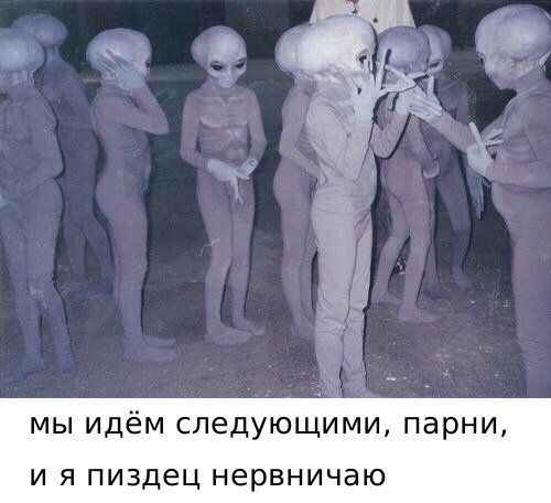 Забавные шутки, картинки и фразы из этих ваших интернетов