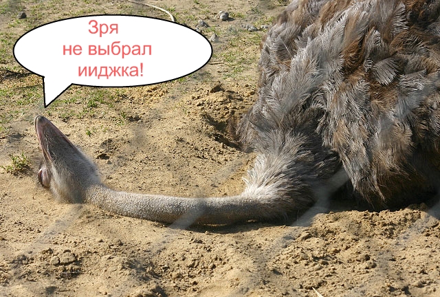 Фотожаба на пятницу