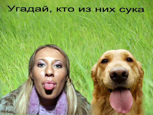 Фотожаба: Ксюша Собчак