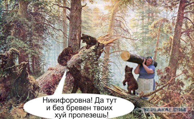 фотожаба: с бревном