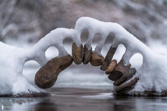 (C)нежное