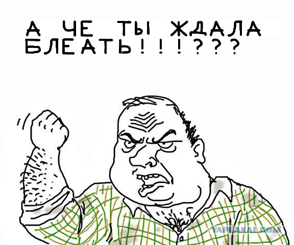 Достала кошку