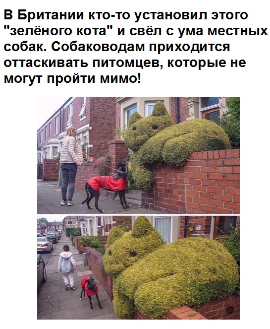 Картинки и мемы для настроения 04.08.2021