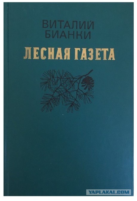 Книжка из детства, которую вы перечитывали несколько раз?