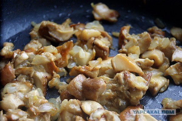 International одной книги., В память о Дженибеке.