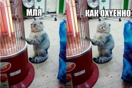Утепляйтесь!