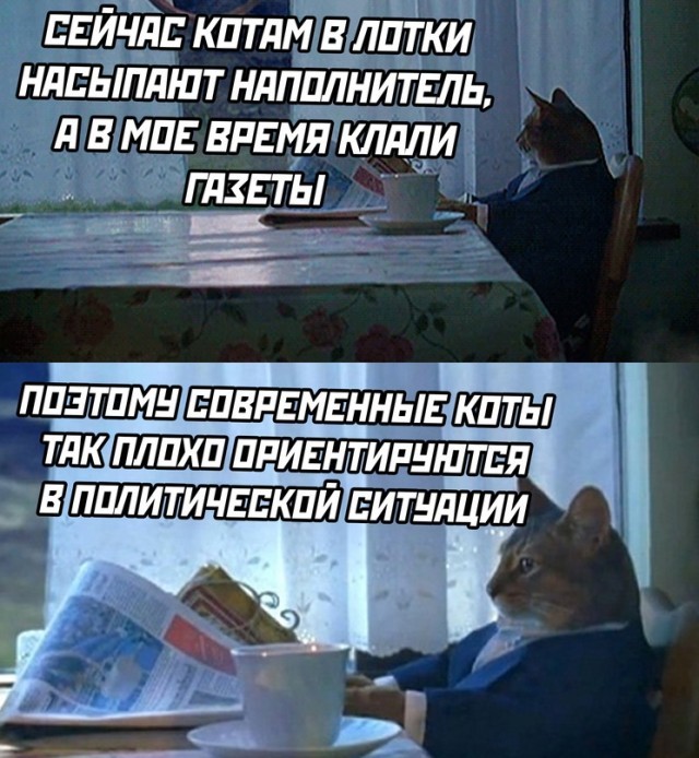 Всякие разные картинки 19.11.2021