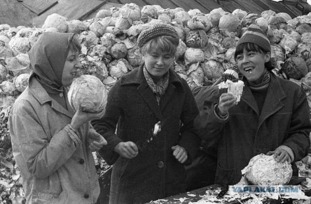 Фотографии из прошлого нашей страны