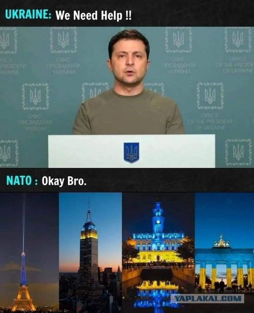 Новая обложка американского The New Yorker