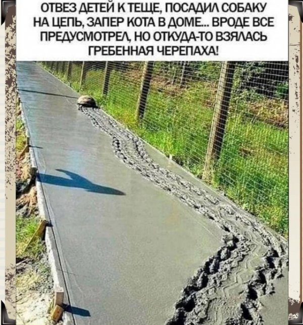Прикольные и просто красивые картинки 27.04.2022