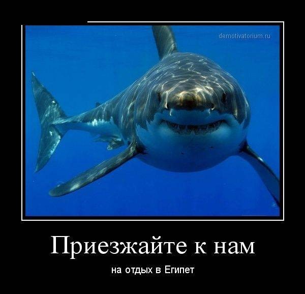 Картинки с надписями 02.07.22