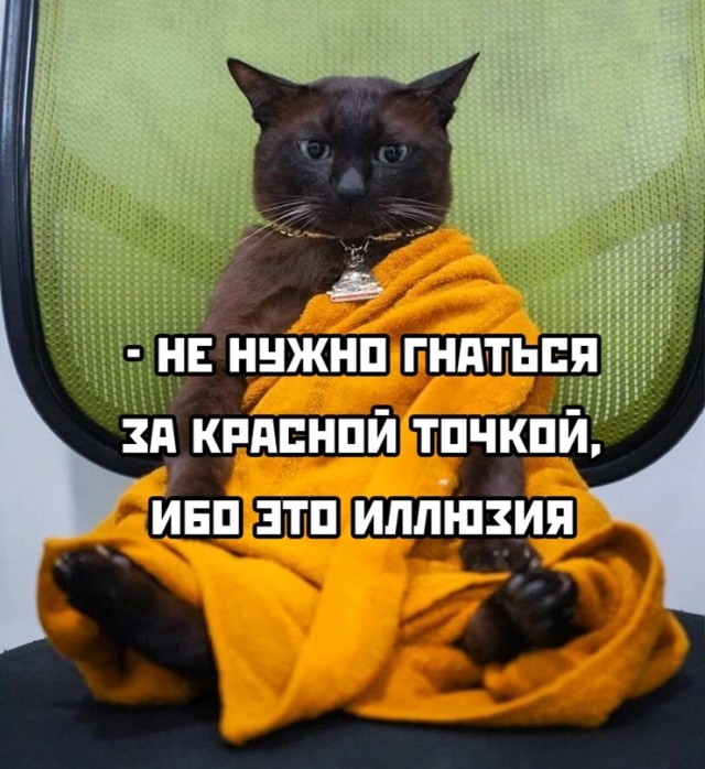 Картинки и мемы для настроения - 119