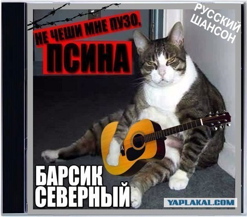 Псина