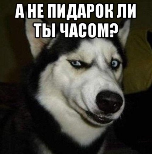 Не выдержал