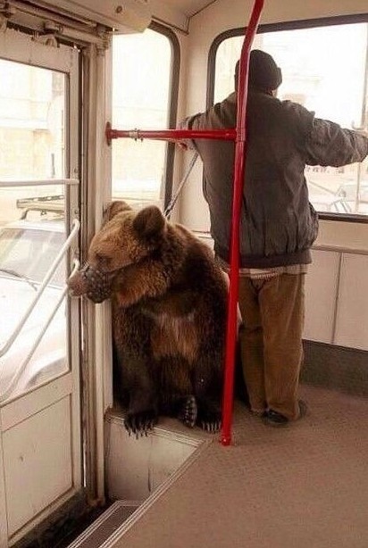 Блатной угол в ЛиАЗе