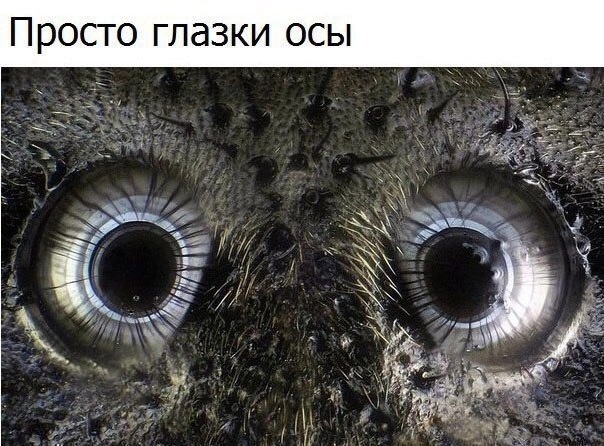 Так себе картинки 03.12.23