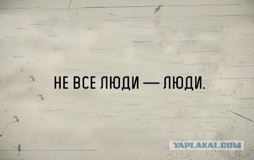 Так выглядит необучаемость