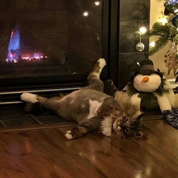 ФотоВинегрет