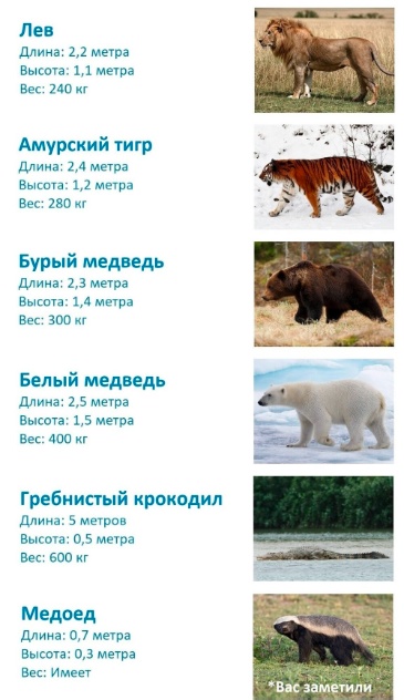 Тупые старые картинки
