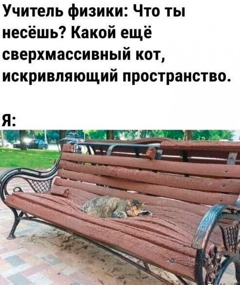 Так себе картинки 11.10.24