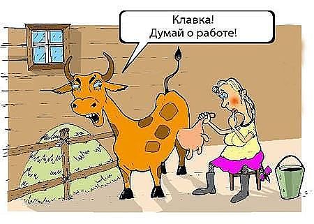 Поговорки из народа⁠⁠