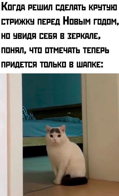 Картинки разные с надписями и без