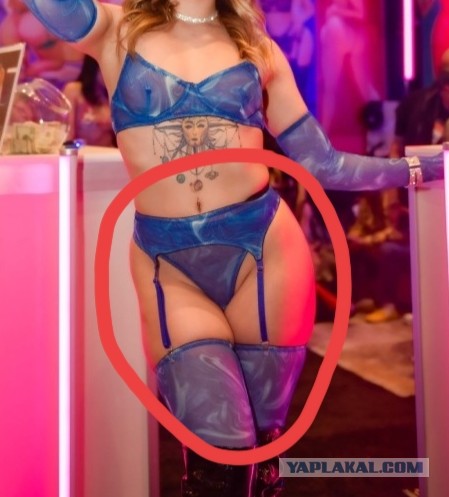 AVN Awards 2025 | Порно-Оскар 2025