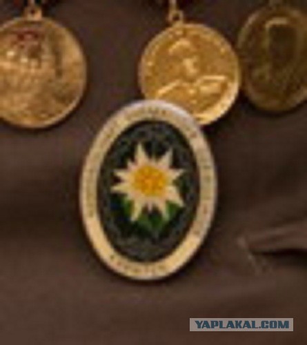 Ветеран ВДВ СССР со знаком эдельвейса Вермахта